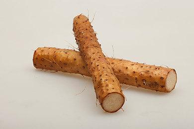 消息称任天堂正开发代号为宴会的全新游戏